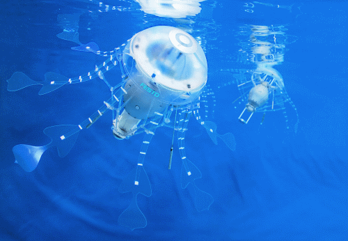 festo_aquajelly_1.gif.