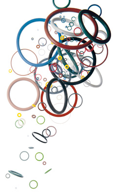 O-RINGS_MEDIUM.jpg.