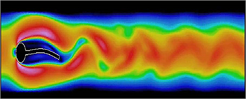 Deformable-Flap-in-Wake-of-Cylinder