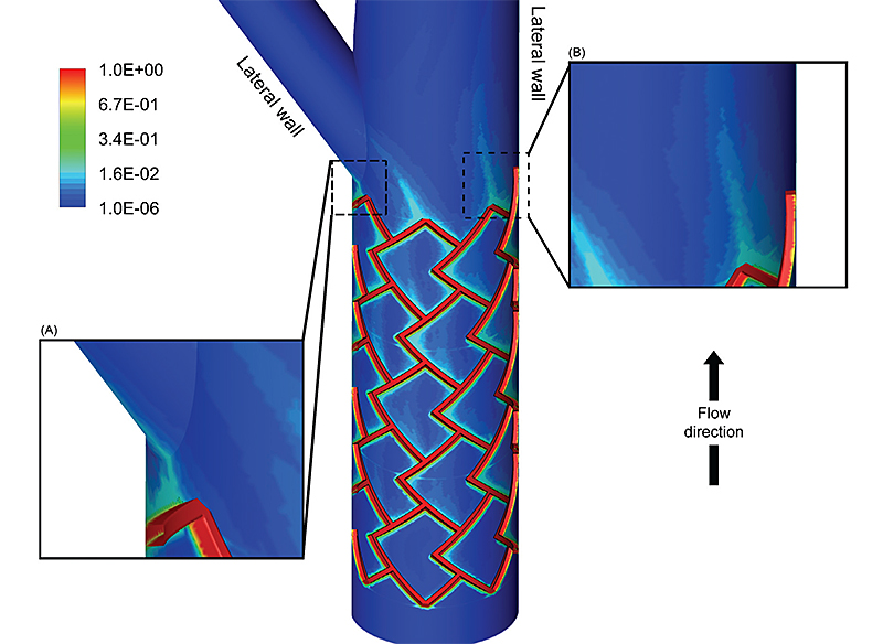 动脉 - 药物浓度