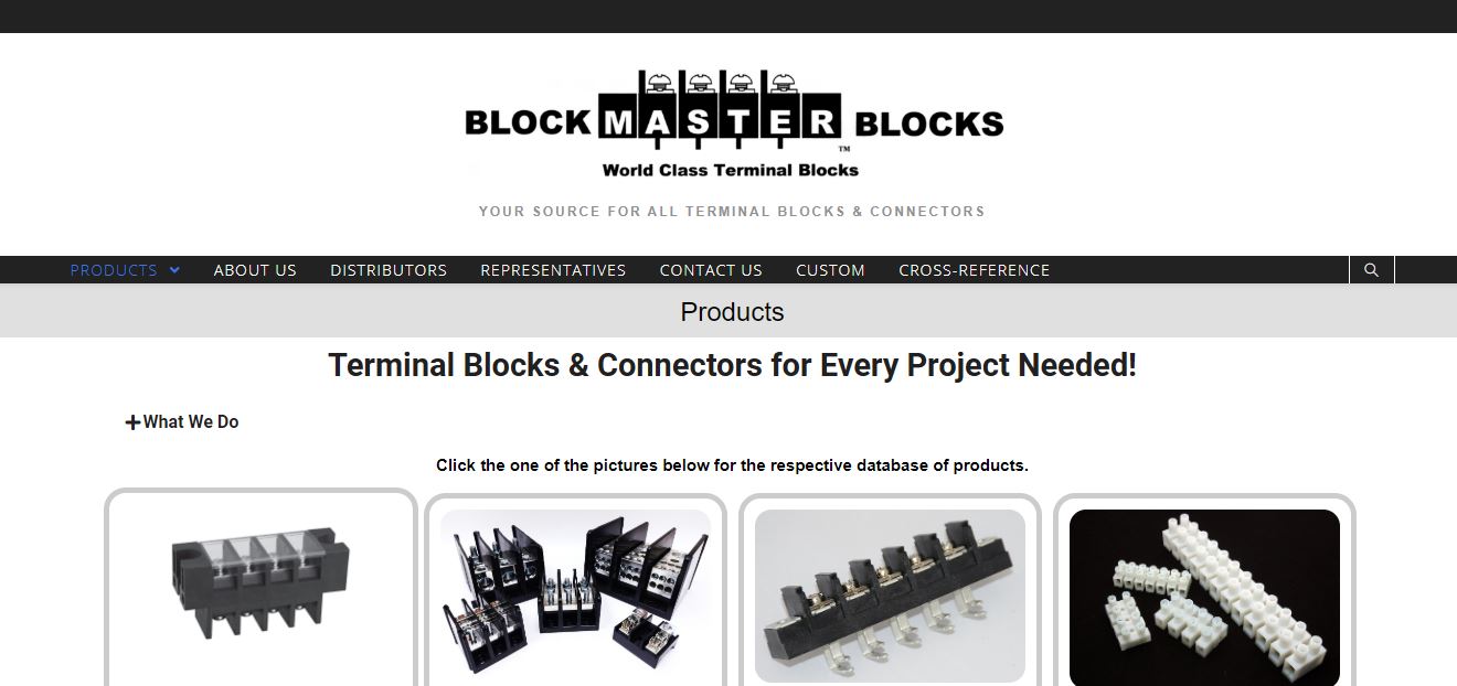 BlockMaster's New Website